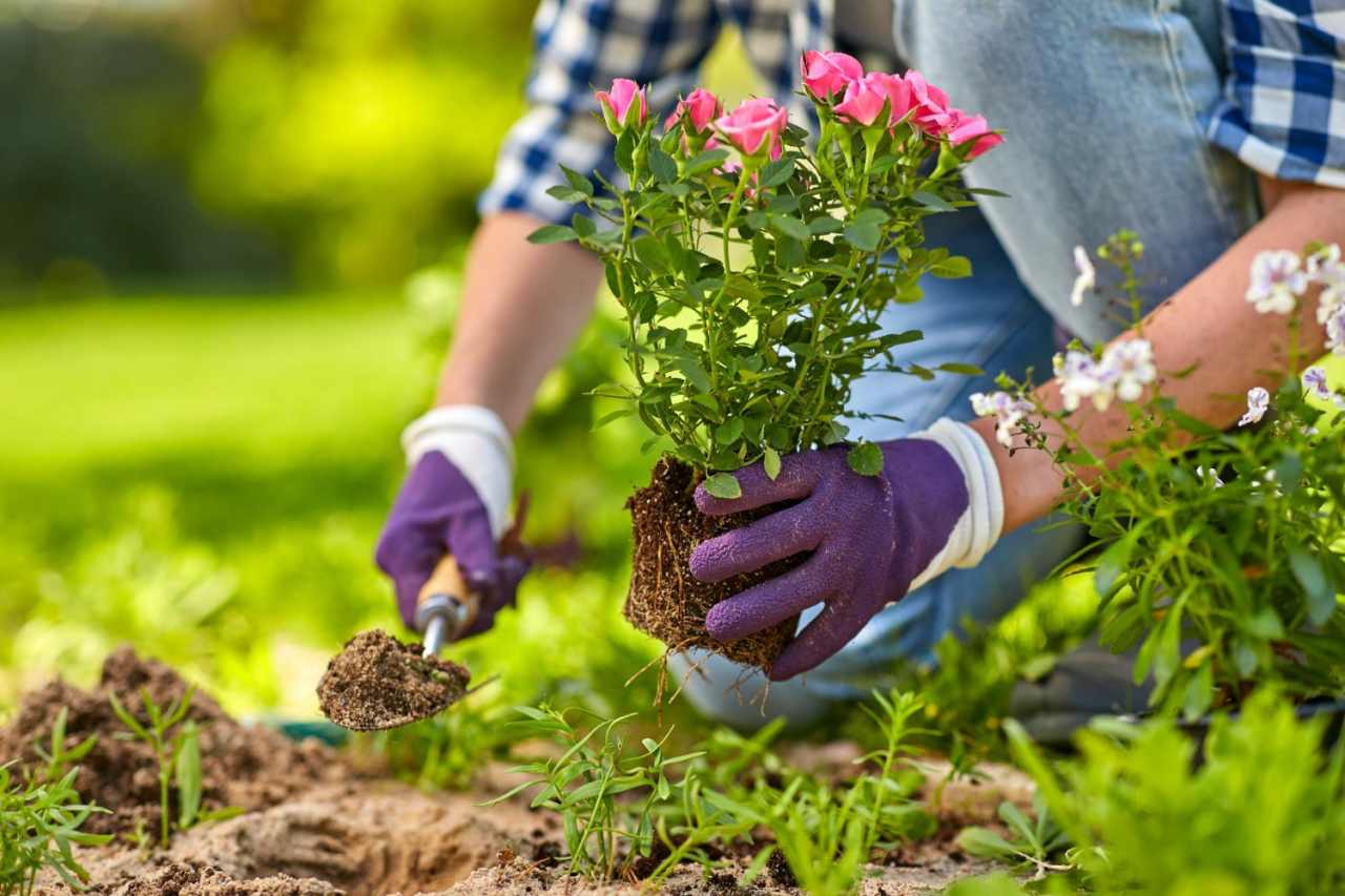 Giardinaggio Zero Sprechi: Soluzioni Naturali che Tutti Adottano