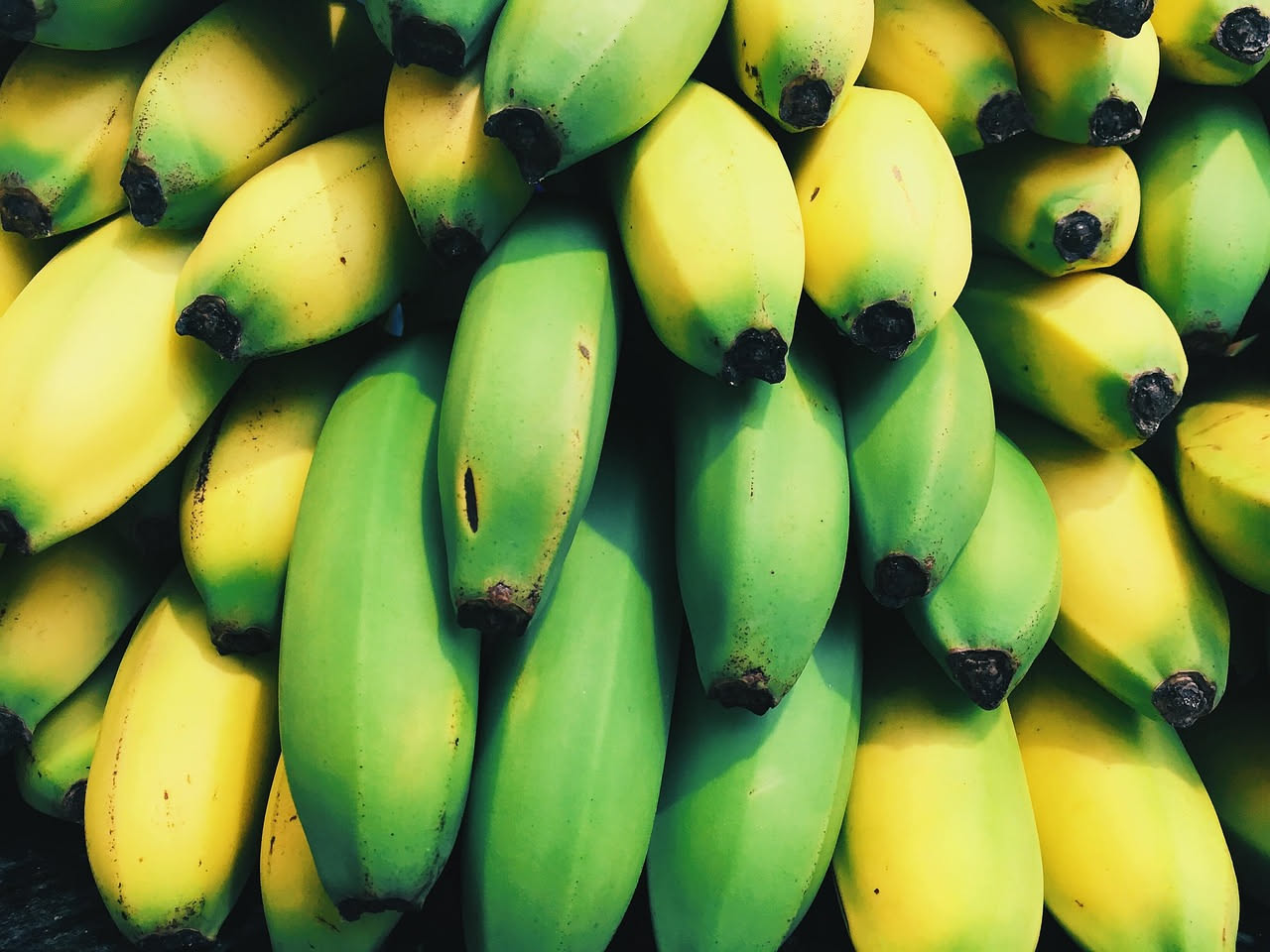 Banane verdi o mature: quale scegliere per la salute