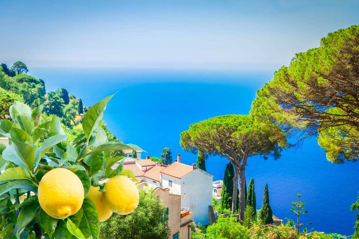 I limoni di Amalfi: come la costa campana ha inventato la tavola del Sud