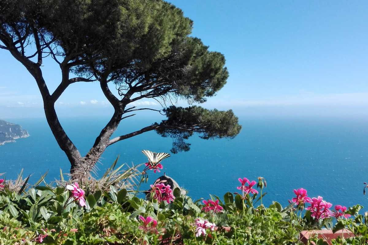 Dalla teoria alla pratica: come funziona il progetto