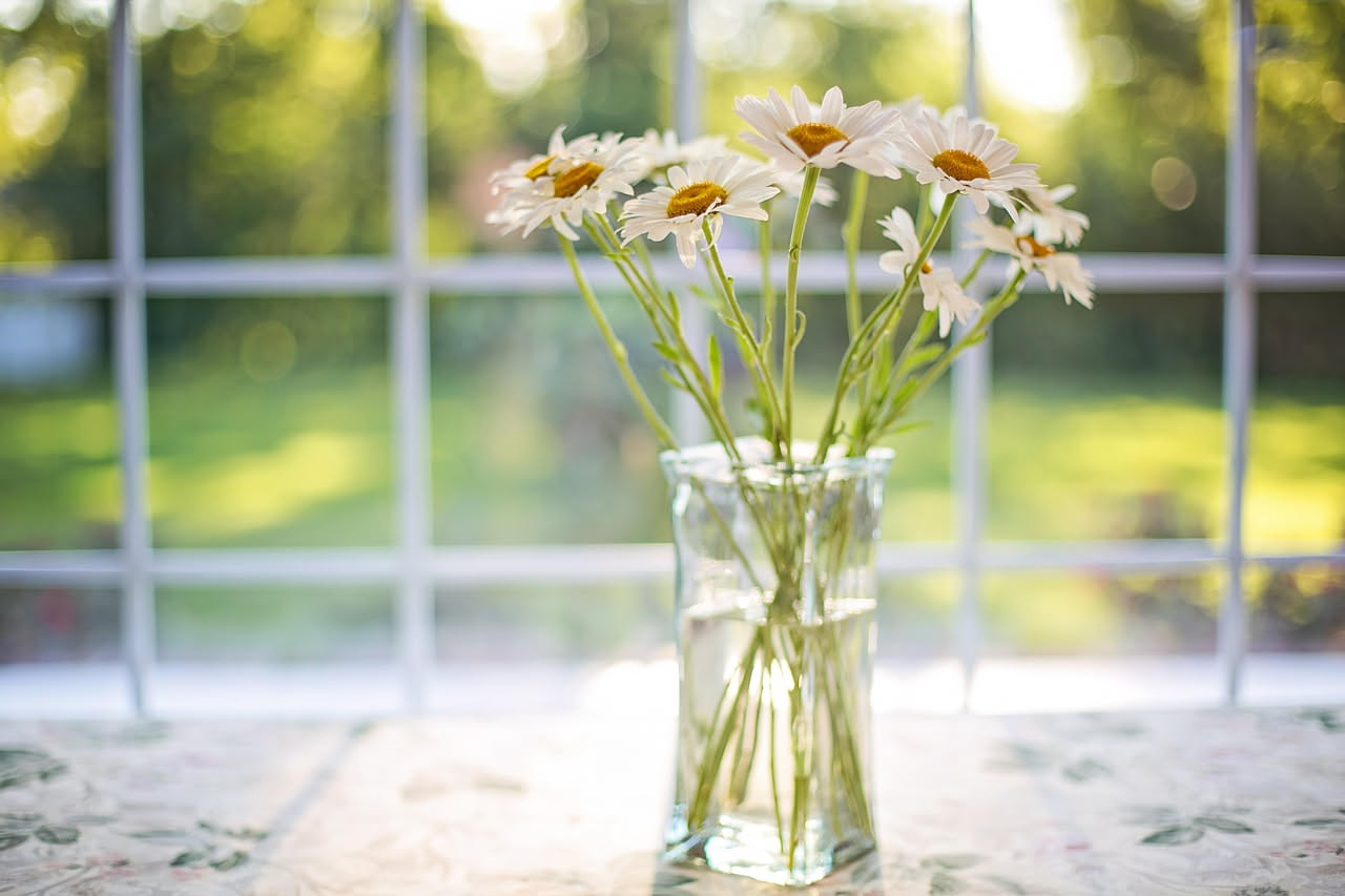 Fiori recisi in casa: come la loro cura cambia l'umore ogni giorno