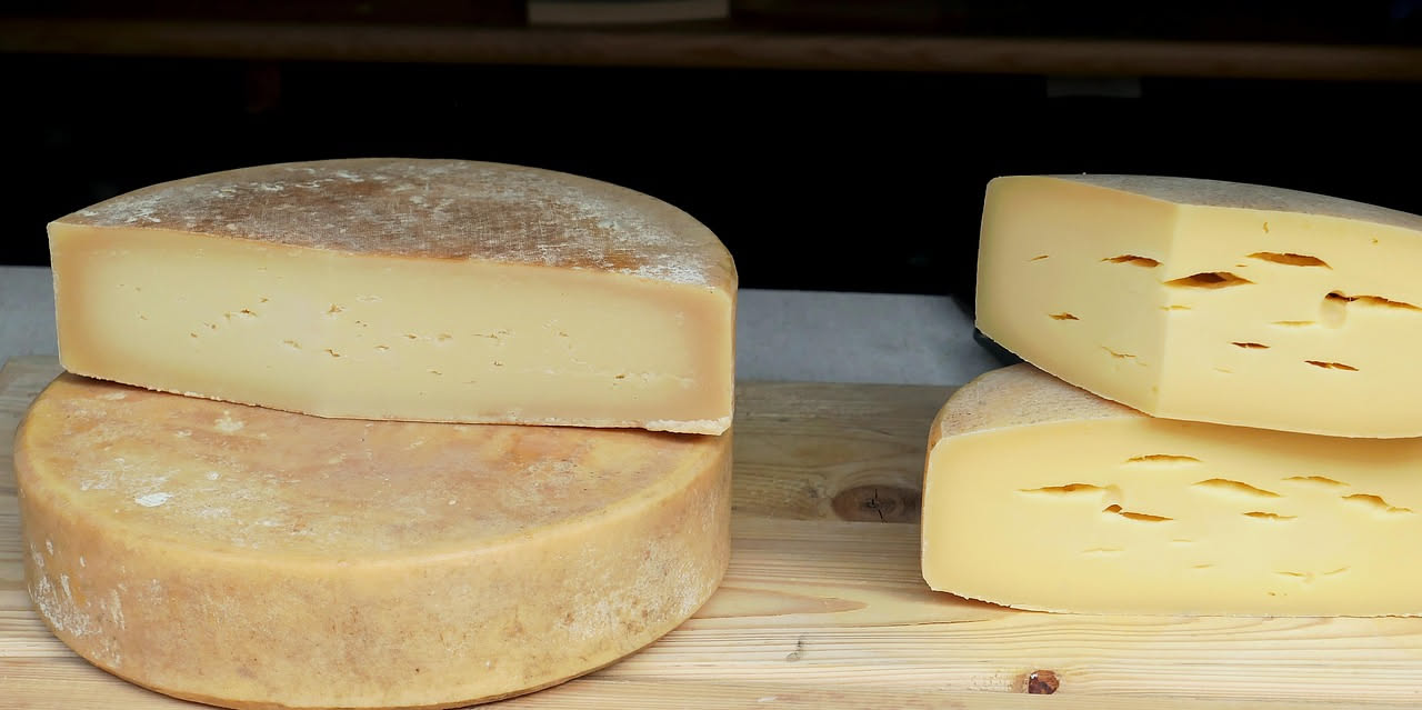 Montasio friulano: come nasce il formaggio delle Alpi Carniche