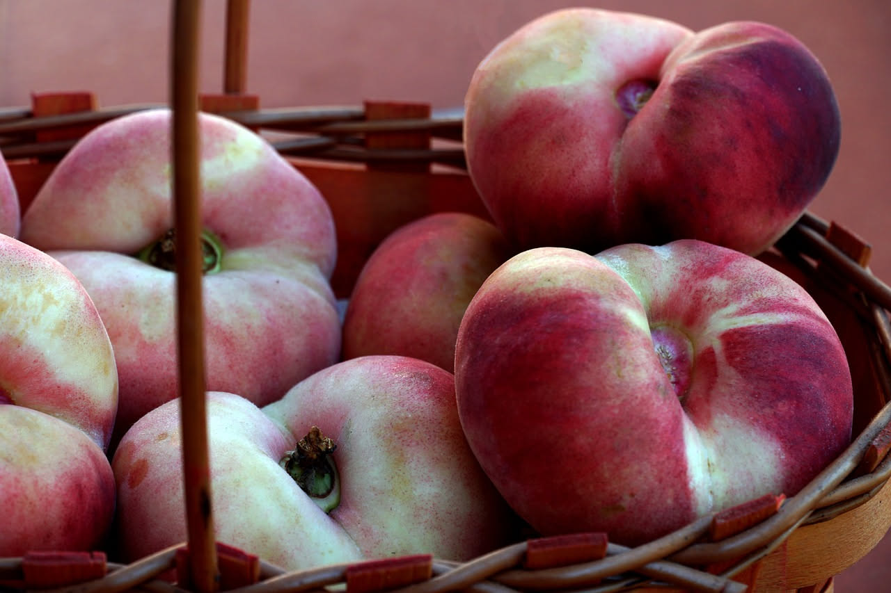 Pesche di Verona DOP: come l'acqua dei fiumi modella il frutto