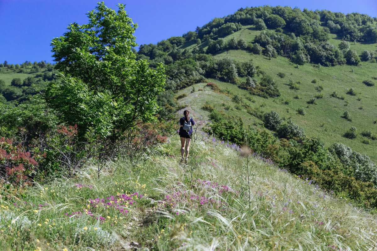 Camminare ogni giorno in primavera: come perdere peso senza dieta