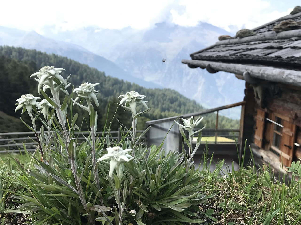 Ponte del 2 giugno in montagna: come vivere il rifugio alpino