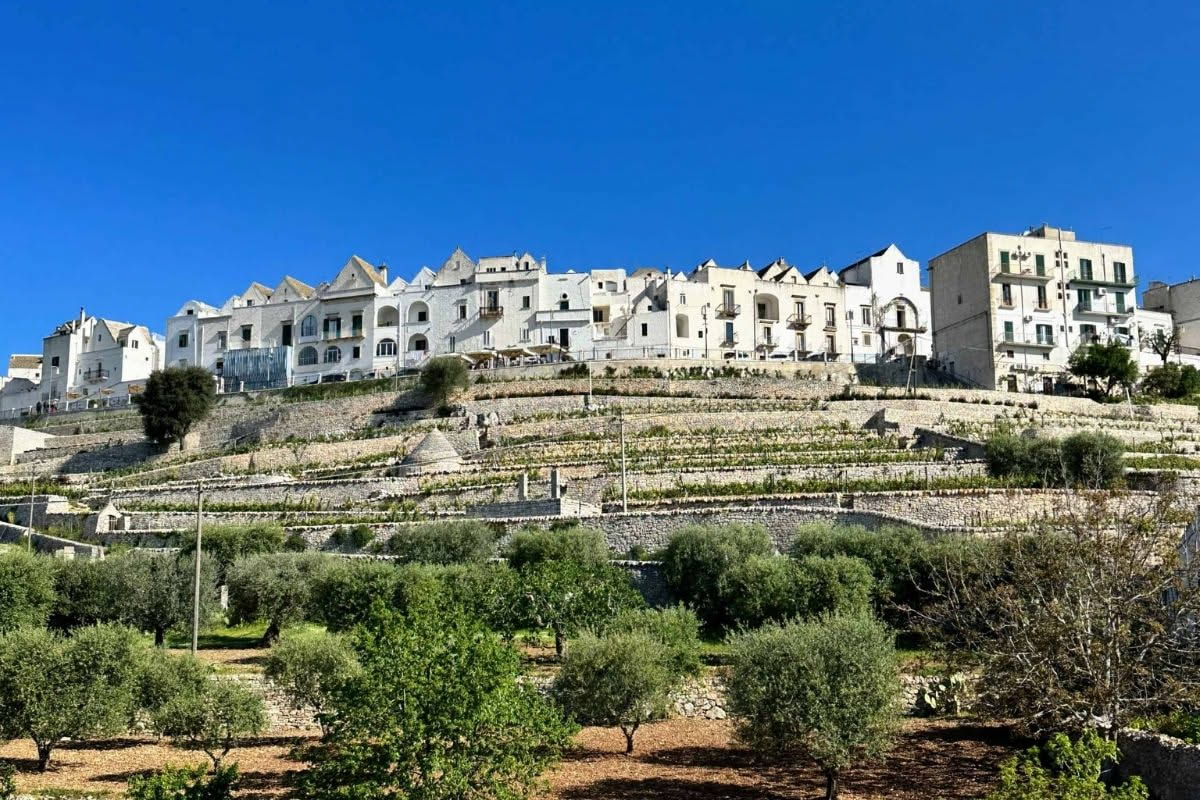 Locorotondo: il borgo circolare della Valle d'Itria
