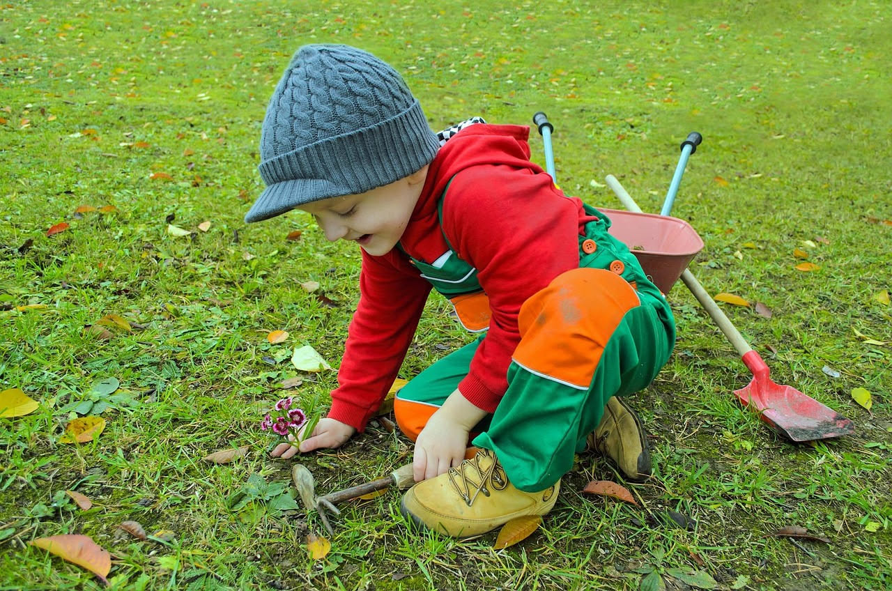 Piante adatte ai bambini: quali scegliere per insegnare la natura