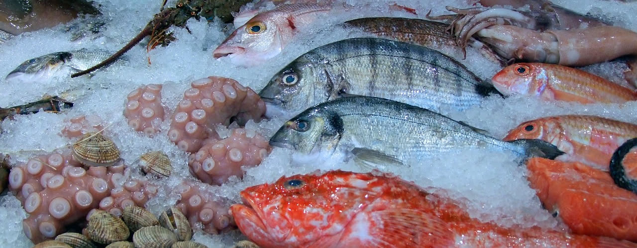 Quante volte a settimana mangiare il pesce: le raccomandazioni scientifiche
