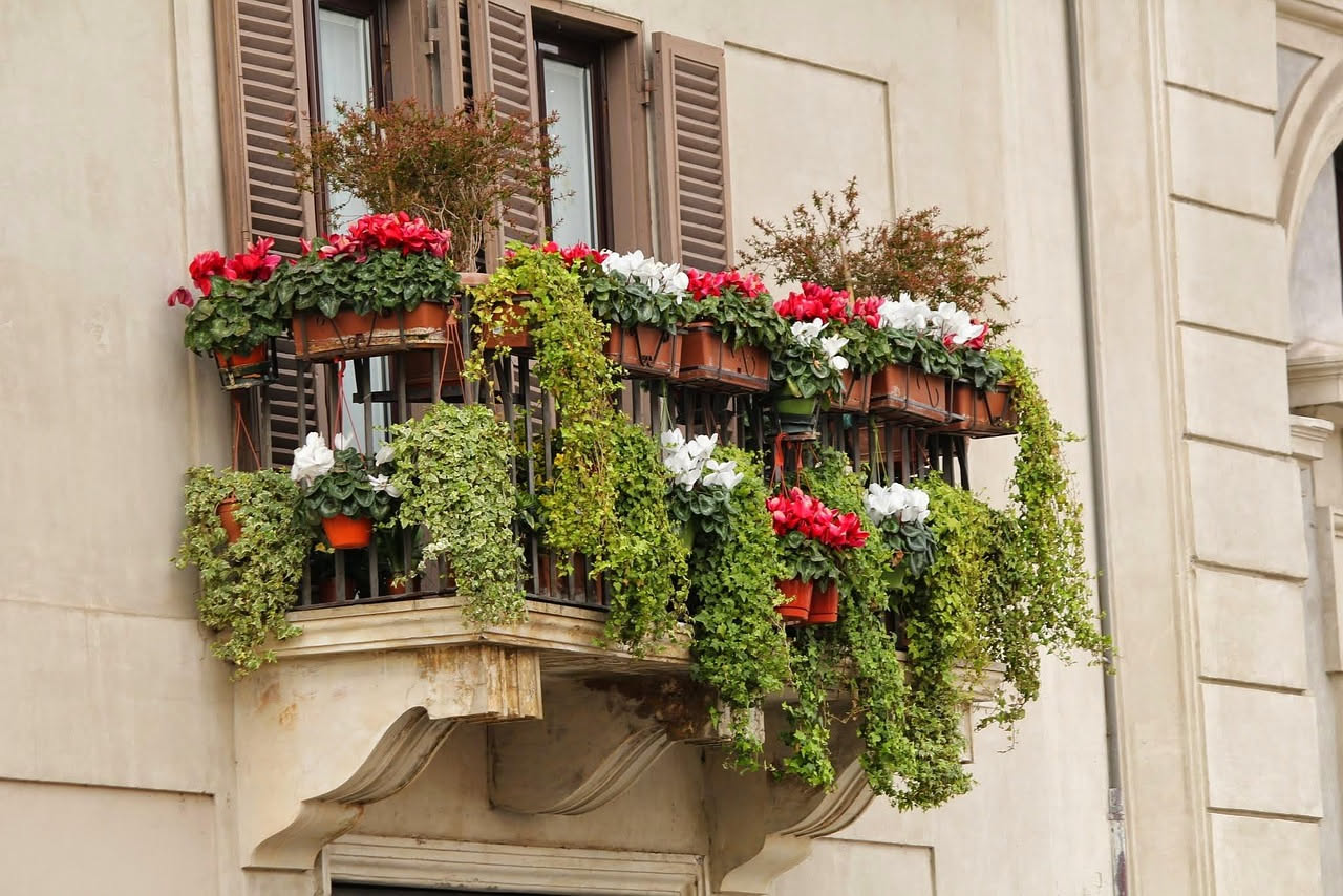 Balcone siciliano con vasi di piante mediterranee tipiche tra cui agrumi gelsomino e lavanda
